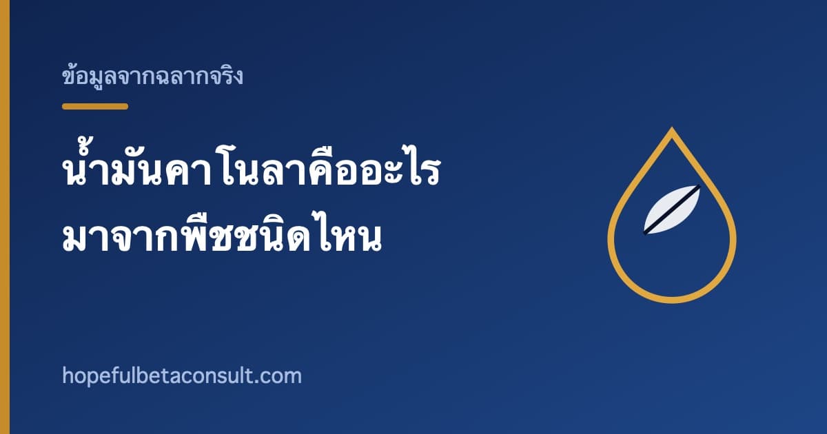 ภาพประกอบบทความ น้ำมันคาโนลาคืออะไร มาจากพืชชนิดไหน และอ่านบนฉลากอย่างไร