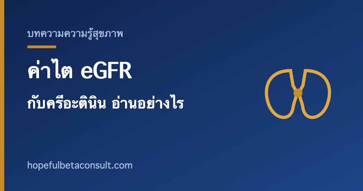 ภาพประกอบบทความ ค่าไต eGFR กับ ครีอะตินิน อ่านอย่างไร ตัวเลขบอกอะไรบ้าง