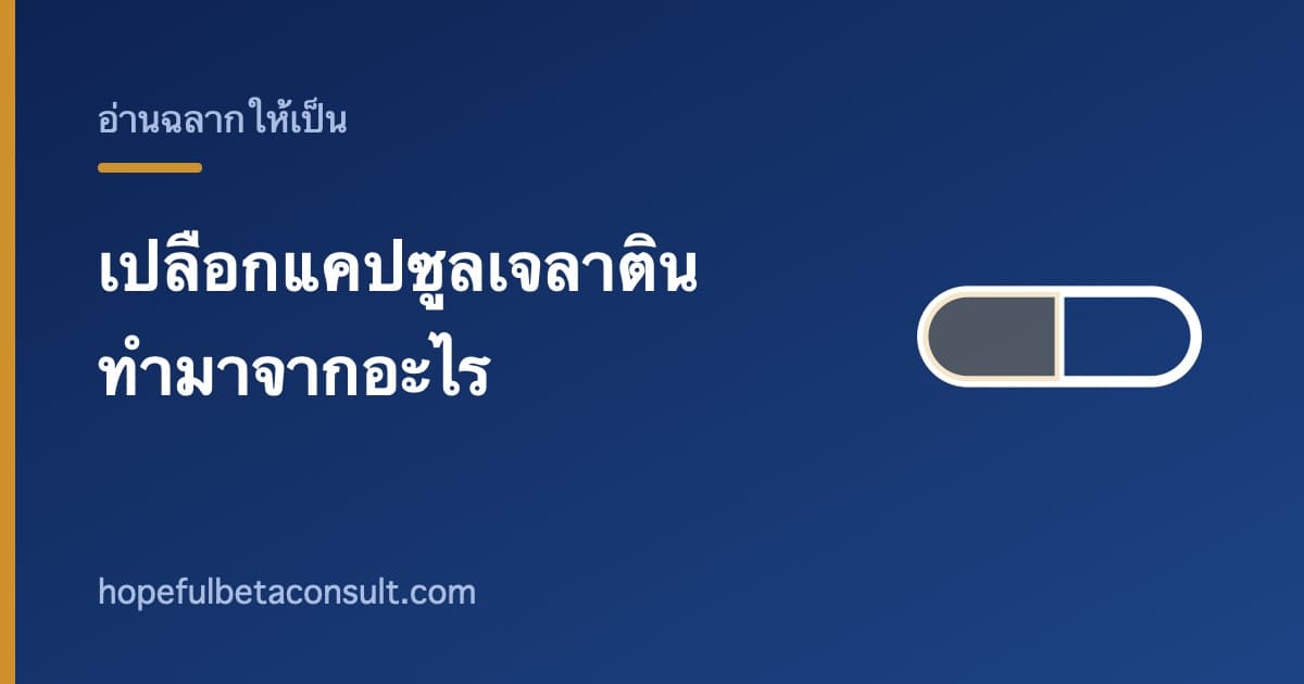 ภาพประกอบบทความ เปลือกแคปซูลเจลาติน ทำมาจากอะไร และใครที่ควรทราบ