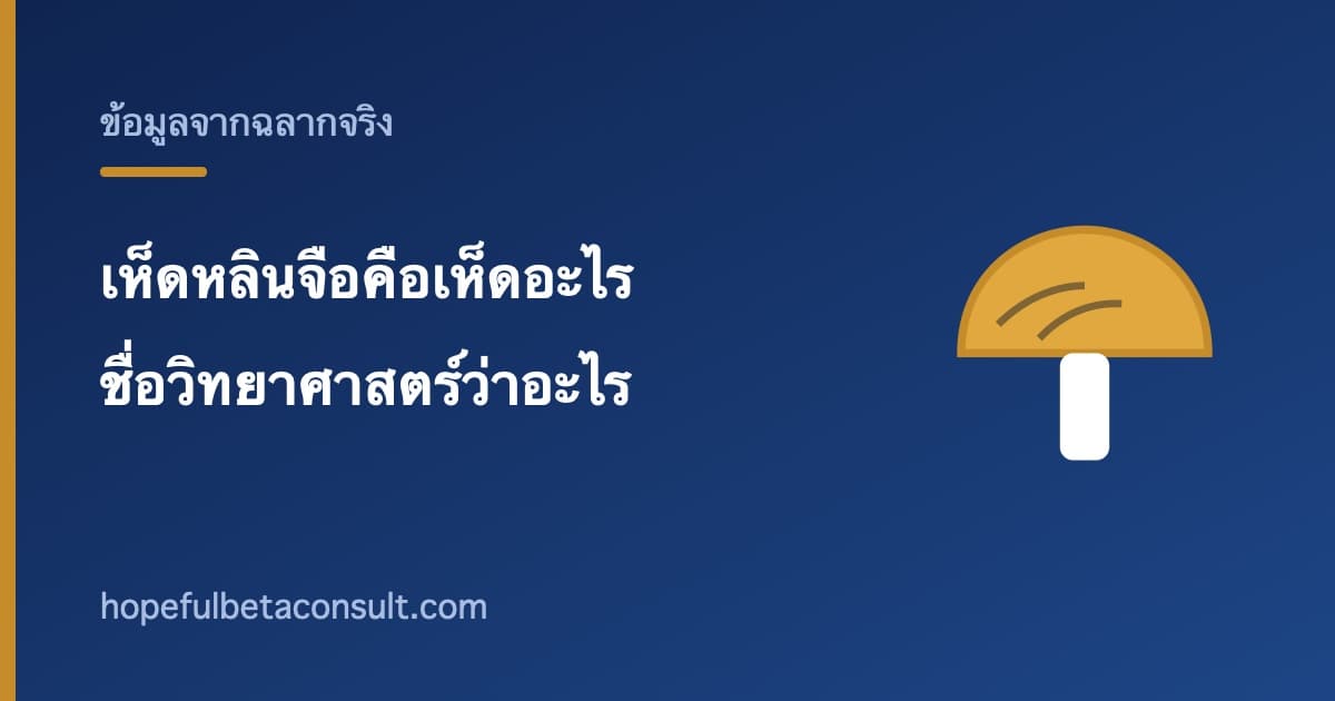 ภาพประกอบบทความ เห็ดหลินจือคือเห็ดอะไร ชื่อวิทยาศาสตร์และรูปแบบที่พบบนฉลาก