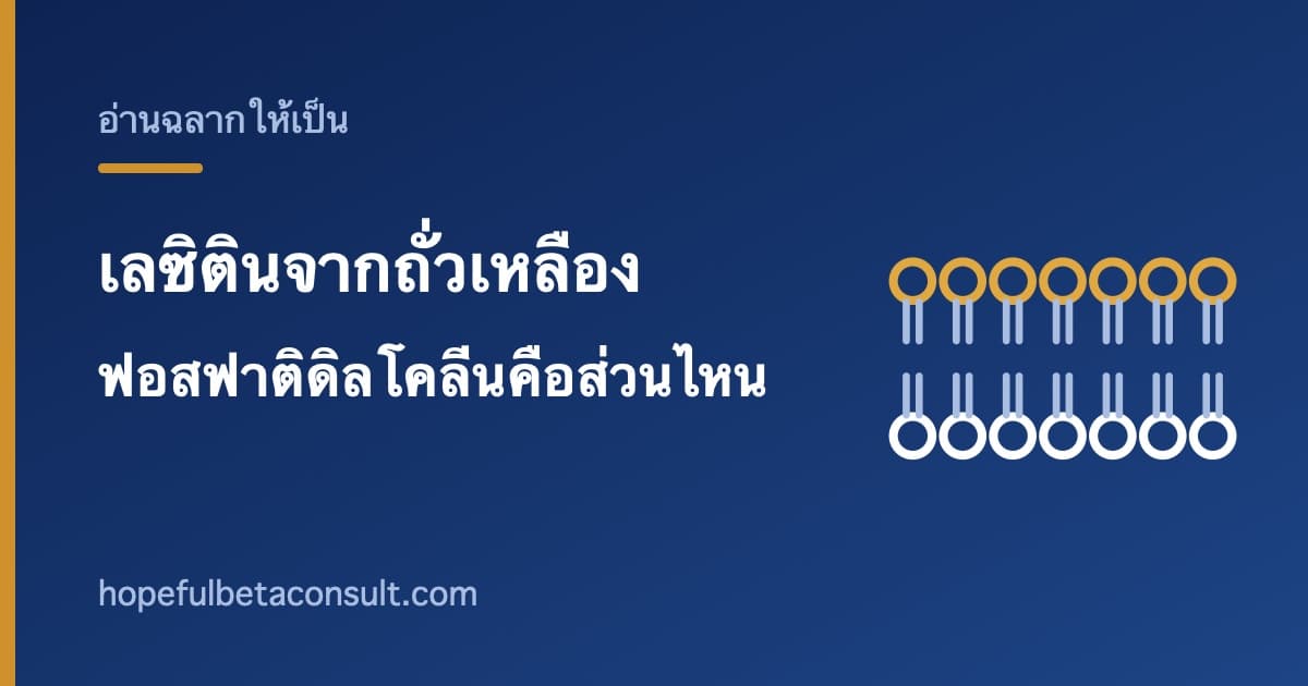 ภาพประกอบบทความ เลซิตินจากถั่วเหลืองคืออะไร และฟอสฟาติดิลโคลีนบนฉลากคือส่วนไหน