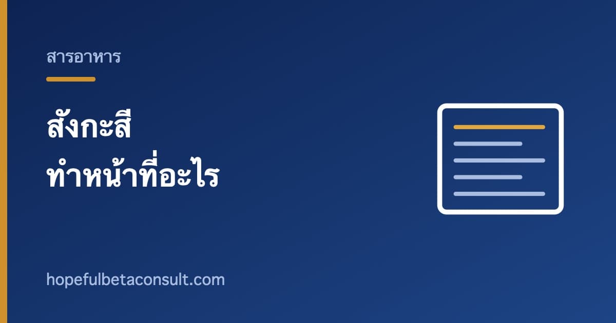 ภาพประกอบบทความ สังกะสีทำหน้าที่อะไร และทำไมได้รับมากเกินไปถึงมีปัญหา