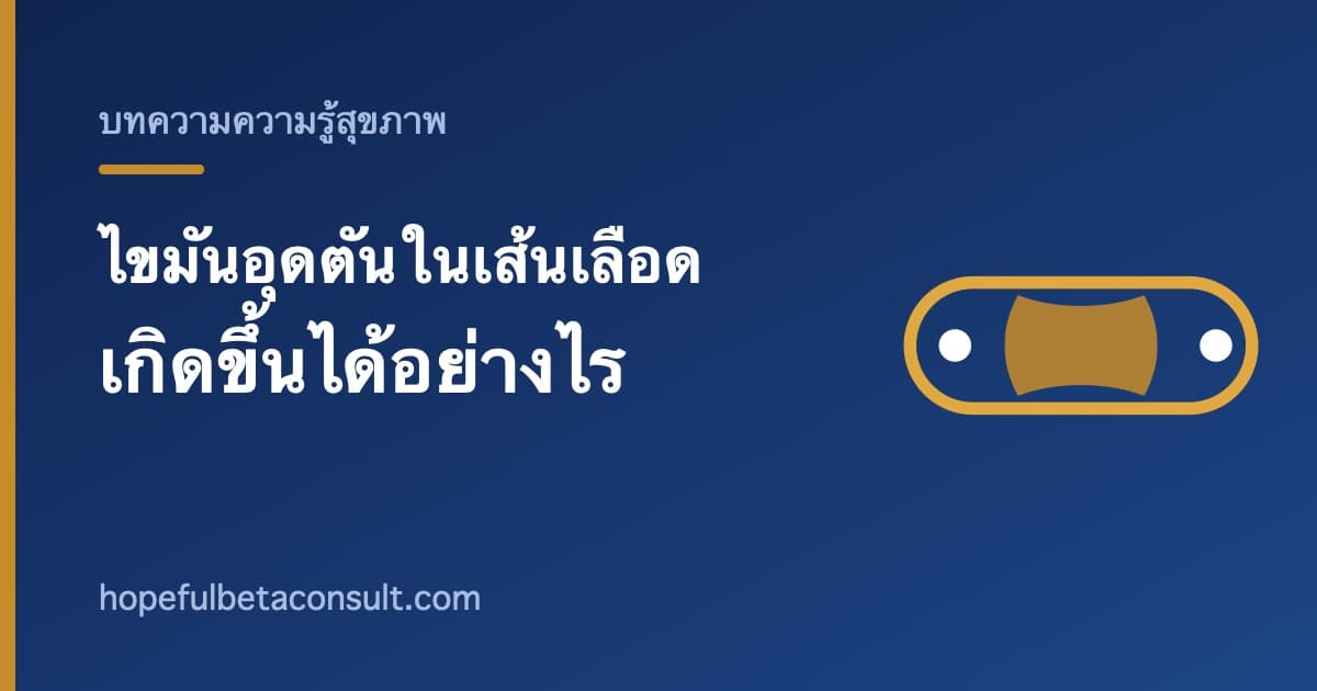 ภาพประกอบบทความ ไขมันอุดตันในเส้นเลือด เกิดขึ้นได้อย่างไร อธิบายทีละขั้น