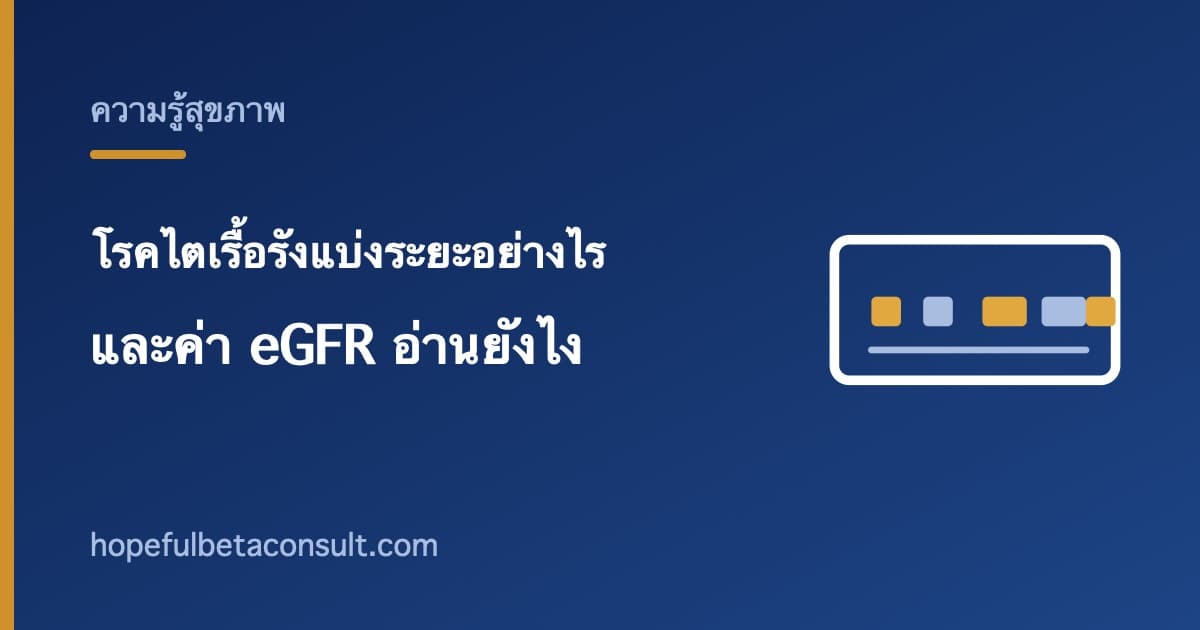 ภาพประกอบบทความ โรคไตเรื้อรังแบ่งระยะอย่างไร และค่า eGFR ในใบผลเลือดอ่านยังไง
