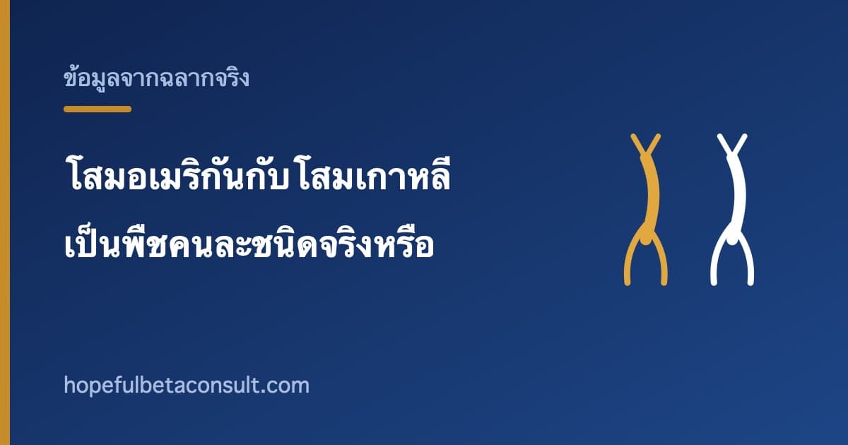 ภาพประกอบบทความ โสมอเมริกันกับโสมเกาหลี ต่างกันอย่างไร เป็นพืชคนละชนิดจริงหรือ