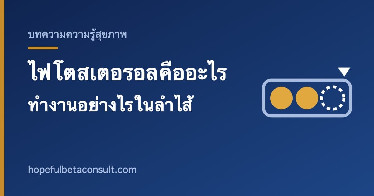 ภาพประกอบบทความ ไฟโตสเตอรอลคืออะไร ทำงานอย่างไรในลำไส้